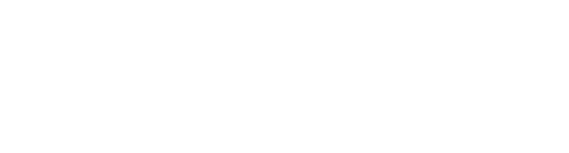NeuroAge Logo